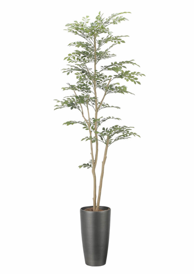 光触媒 光の楽園 ベンジャミン 高さ 1.6m【インテリア フェイク