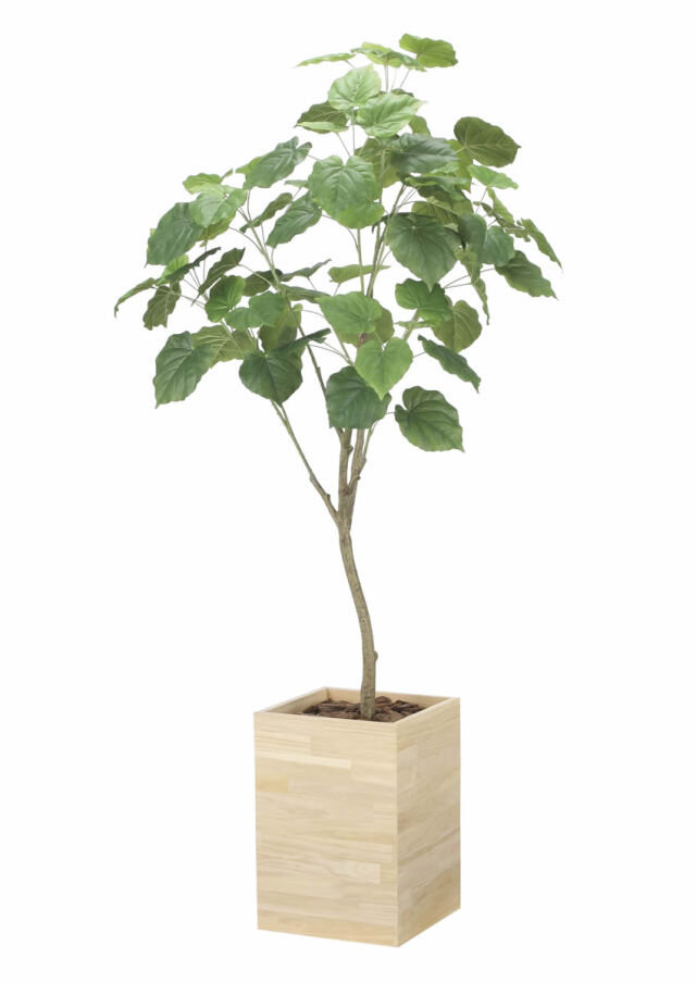 光触媒 光の楽園 コーヒーツリー 高さ 1.8m 【インテリア フェイク