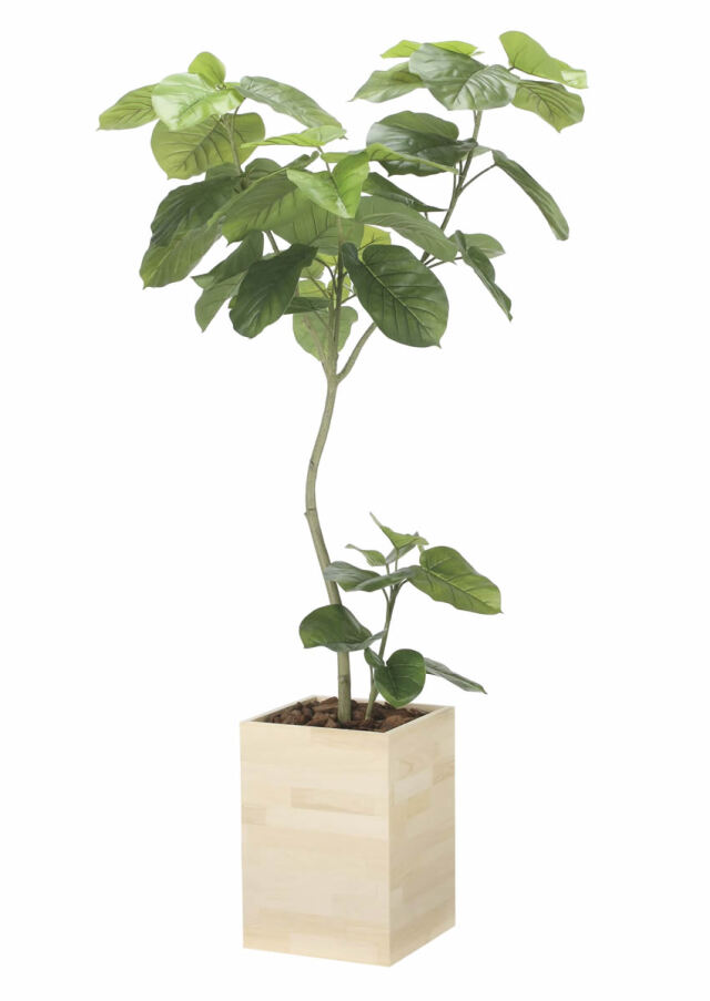 光触媒 光の楽園 ベンジャミン 高さ 1.6m【インテリア フェイク