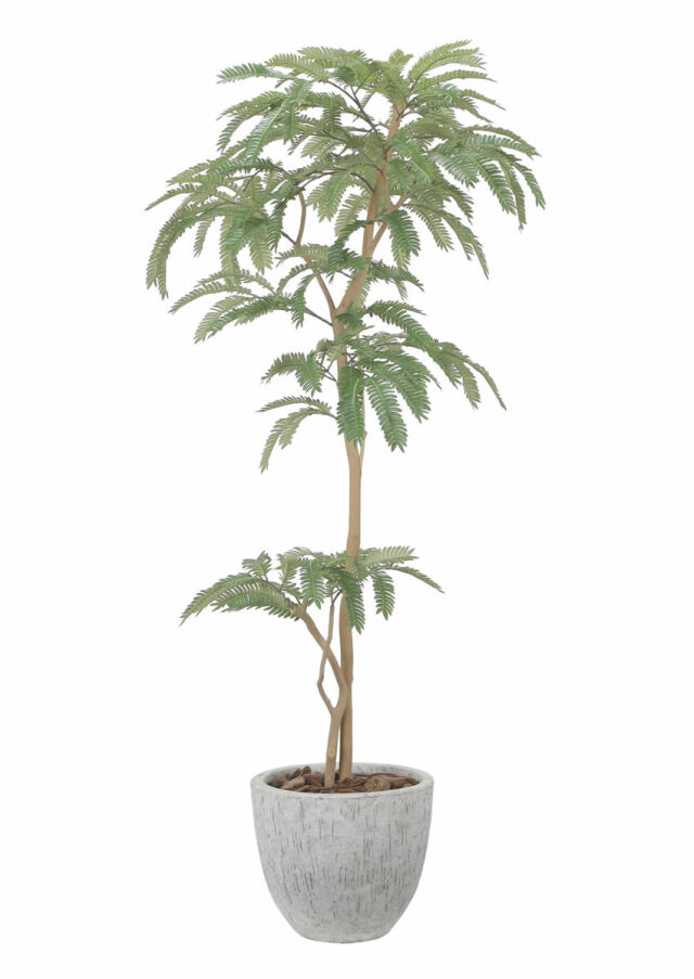 光触媒 光の楽園 ナチュラルねむの木【インテリア フェイクグリーン