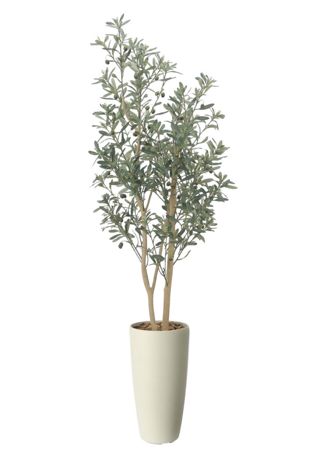 光触媒 光の楽園 スリムフィカストライアングル1.6m【インテリア