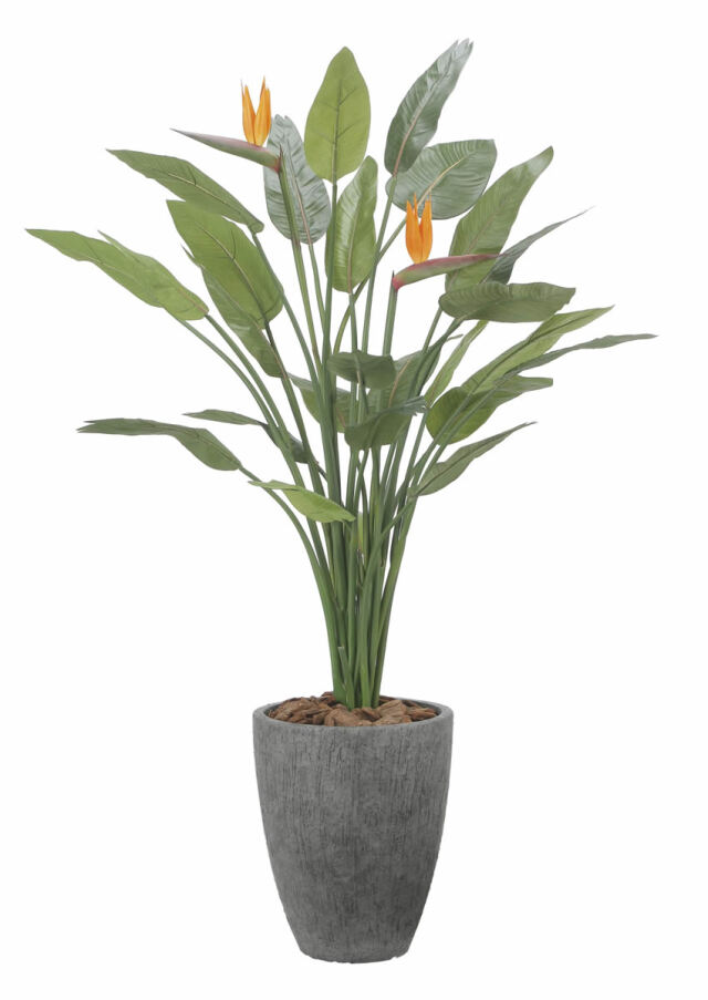 光触媒 光の楽園ナチュラルツビタンサス 1.0m【インテリア フェイク