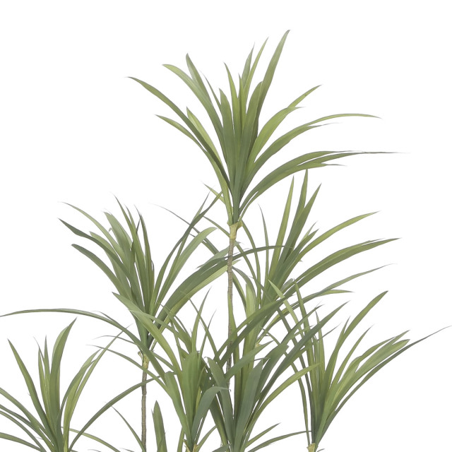 光触媒 光の楽園 インテリアドラセナ1.4（ポリ製）【インテリア