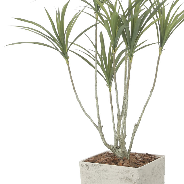 光触媒 光の楽園 インテリアドラセナ1.4（ポリ製）【インテリア