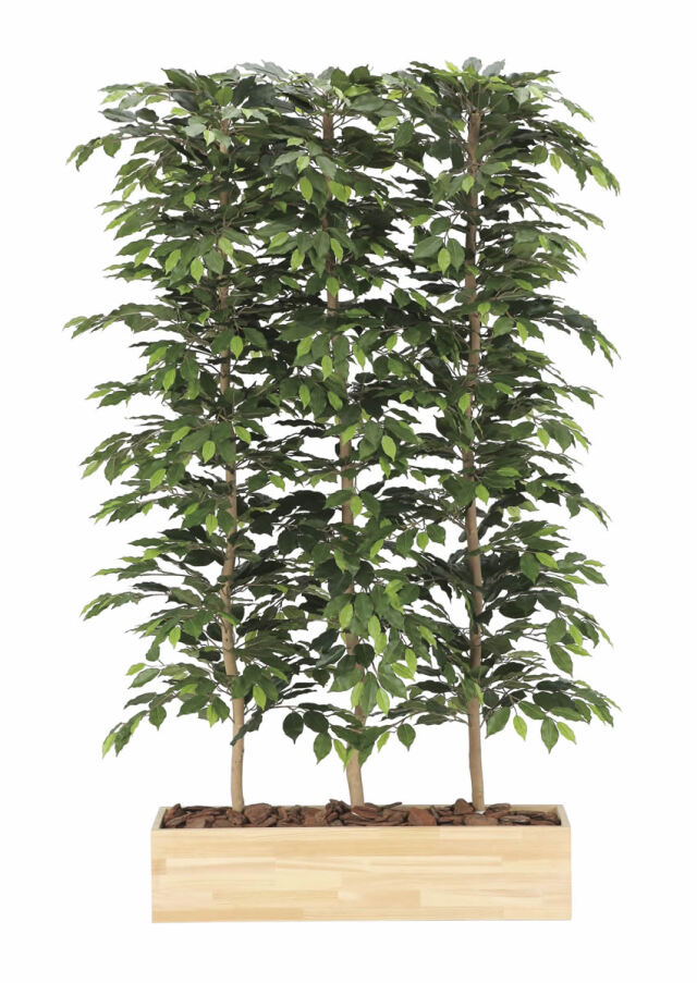 光触媒 光の楽園 ベンジャミン 高さ 1.8m【インテリア フェイク