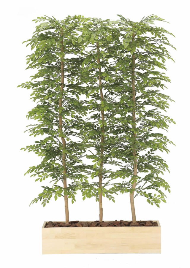 光触媒 光の楽園 ベンジャミンリアナ 1.8m【インテリア フェイク