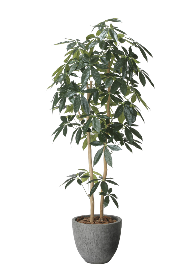 光触媒 光の楽園 スリムシーグレープ1.6m【インテリア フェイク