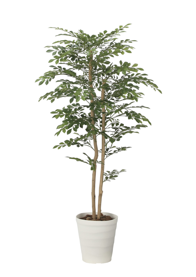 130cm以上 造花と観葉植物の専門店 光の楽園