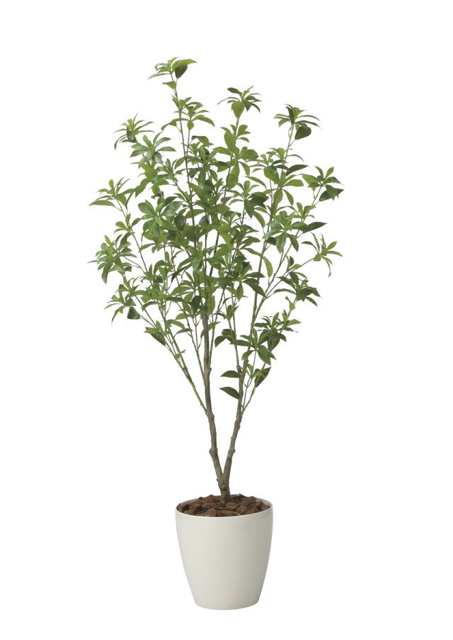 光触媒 光の楽園 インテリアフレッシュアセビ1.5m【インテリア