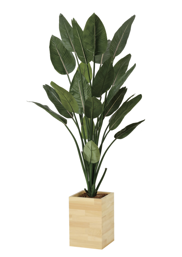 光触媒 光の楽園 ディフェンバキア【インテリア フェイクグリーン 人工