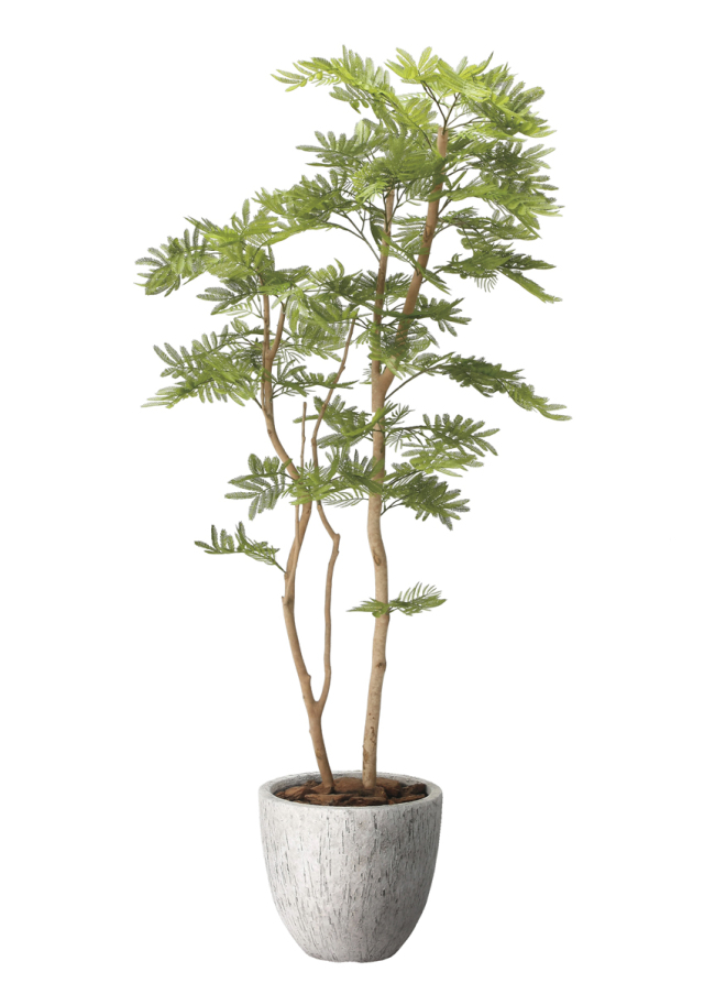 光触媒 光の楽園 セローム1.8m【インテリア フェイクグリーン 人工観葉