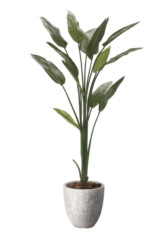 光触媒 光の楽園マウンテンアッシュ（下草付）1.3m【インテリア