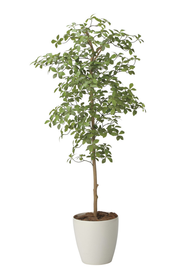 光触媒 光の楽園 スリムフィカストライアングル1.6m【インテリア