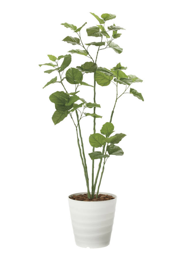 光触媒 光の楽園 ナチュラルウンベラータ1.9（組立式）【インテリア