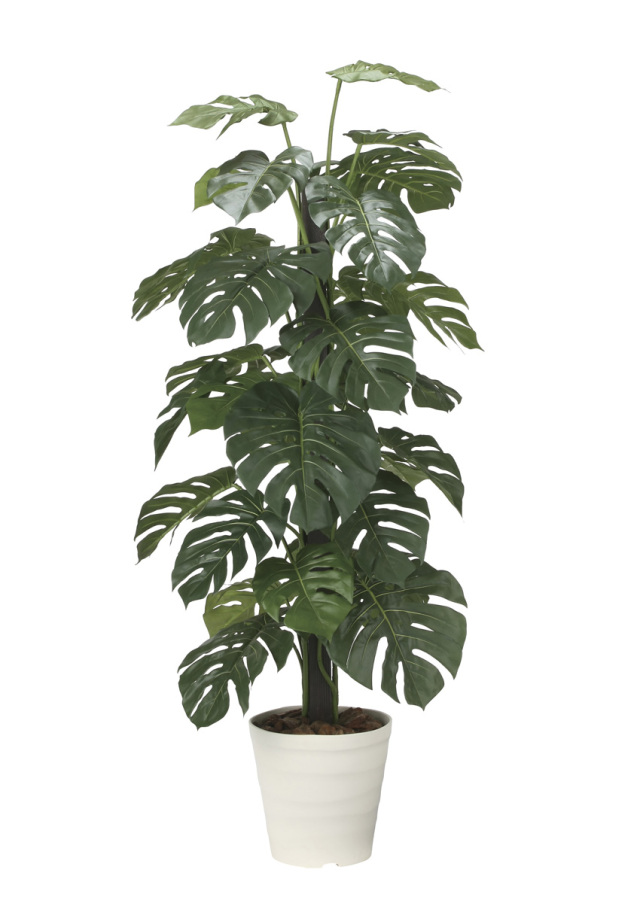 光触媒 光の楽園 アムステルラバーキング1.8【インテリア フェイク