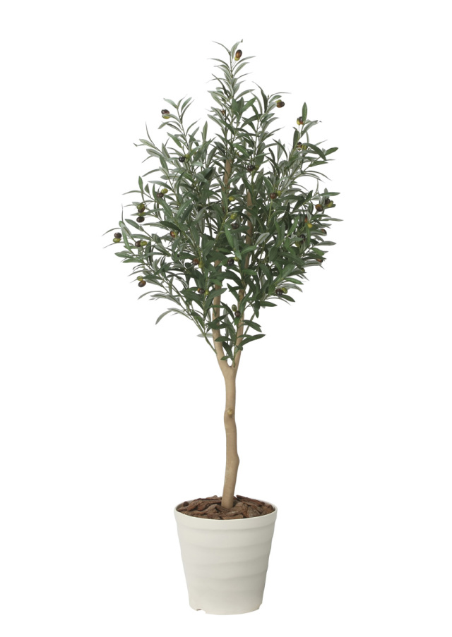 光触媒 光の楽園 ウッドボックスショウナンゴム1.8m【インテリア