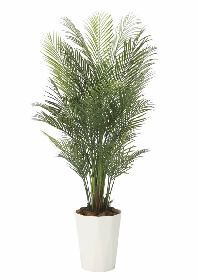 光触媒 光の楽園 アレカパーム1.7（ポリ製）【インテリア フェイク