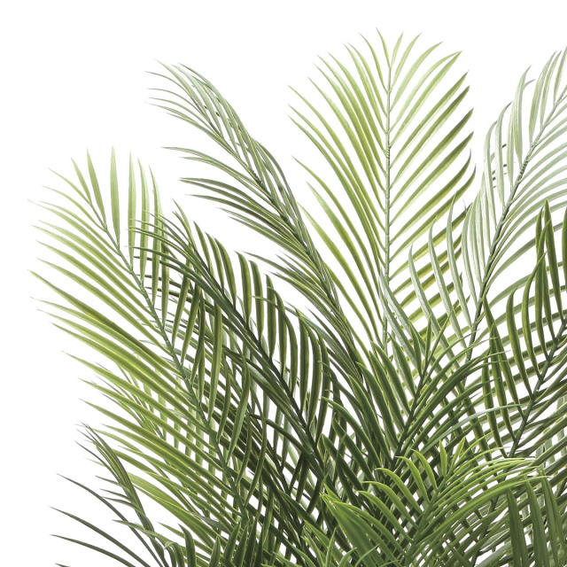 光触媒 光の楽園 アレカパーム1.7（ポリ製）【インテリア フェイク