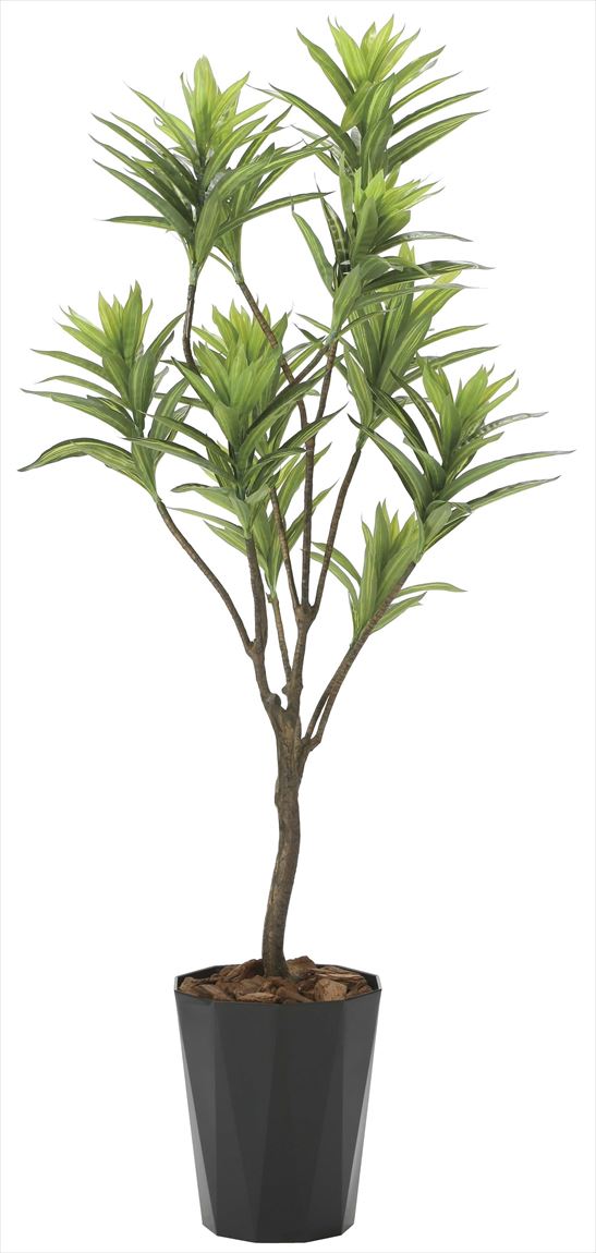 光触媒 人工観葉植物 幸福の木（ドラセナ）【光の楽園】