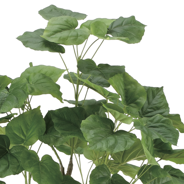 光触媒 光の楽園 フィカスウンベラータ1.35m【インテリア フェイク