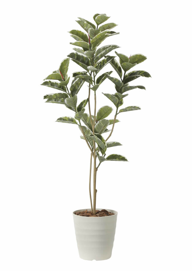 光触媒 光の楽園 アルテシマ 1.6m【インテリア フェイクグリーン 人工