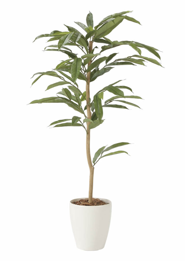 光触媒 光の楽園 アムステラバーキング 1.2m【インテリア フェイク