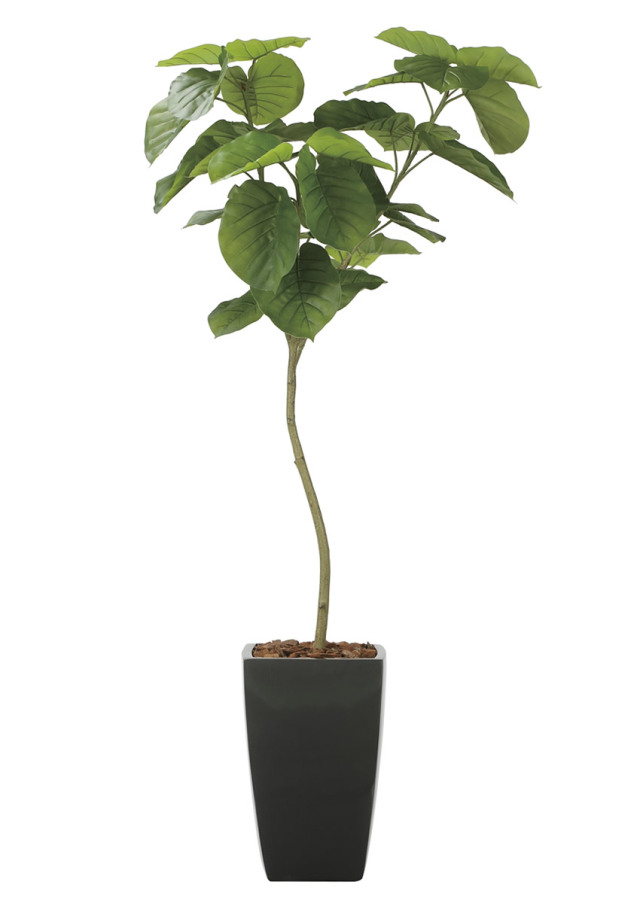 グリーンシリーズ アーバンタイプ