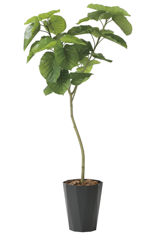 光触媒 人工観葉植物 ウンベラータ【光の楽園】