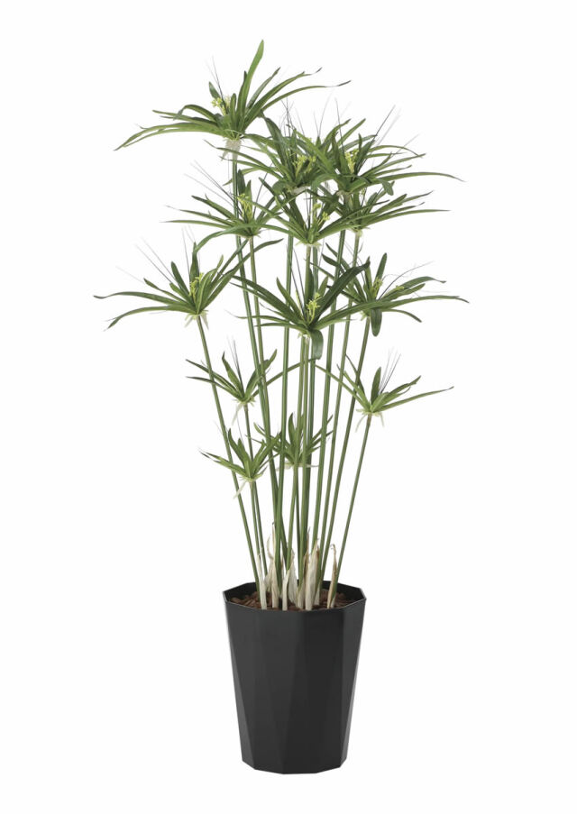 光触媒 光の楽園ユッカ90【インテリア フェイクグリーン 人工観葉植物