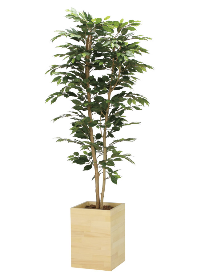 光触媒 光の楽園 ベンジャミン 高さ 1.6m 【インテリア フェイク