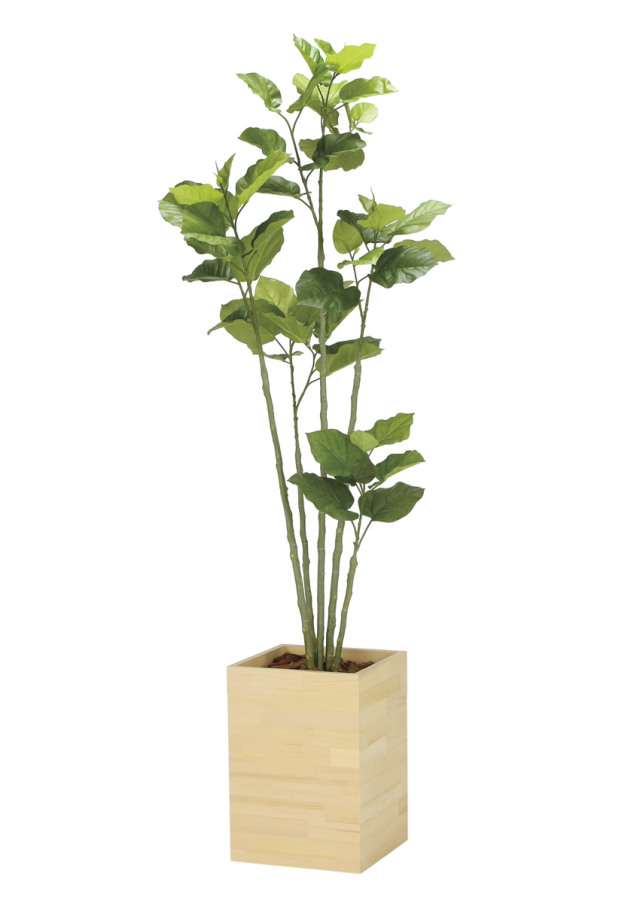 光触媒 光の楽園 ベンジャミン 高さ 1.6m 【インテリア フェイク