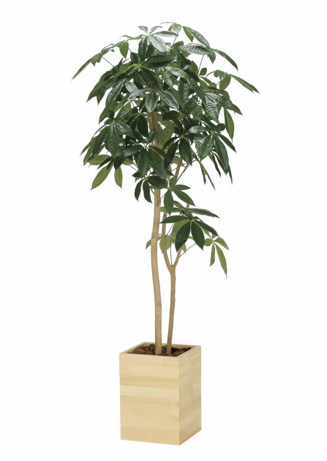 光触媒 人工観葉植物 ウォールグリーン フェイクグリーン ソヨゴ1.6m