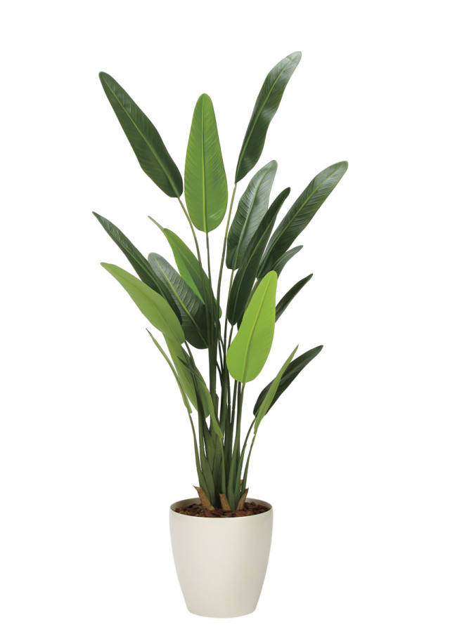 光触媒 光の楽園 フレッシュトラベラーズパーム1.55m【インテリア