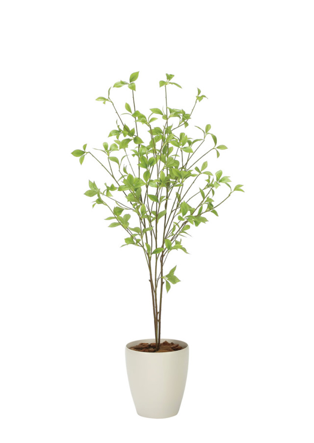 光触媒 光の楽園 クロモジ1.2m【インテリア フェイクグリーン 人工観葉