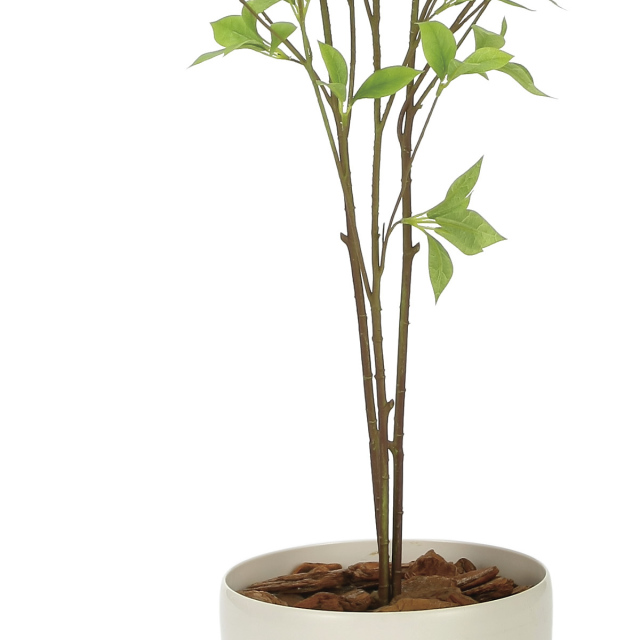 光触媒 光の楽園 クロモジ1.2m【インテリア フェイクグリーン 人工観葉