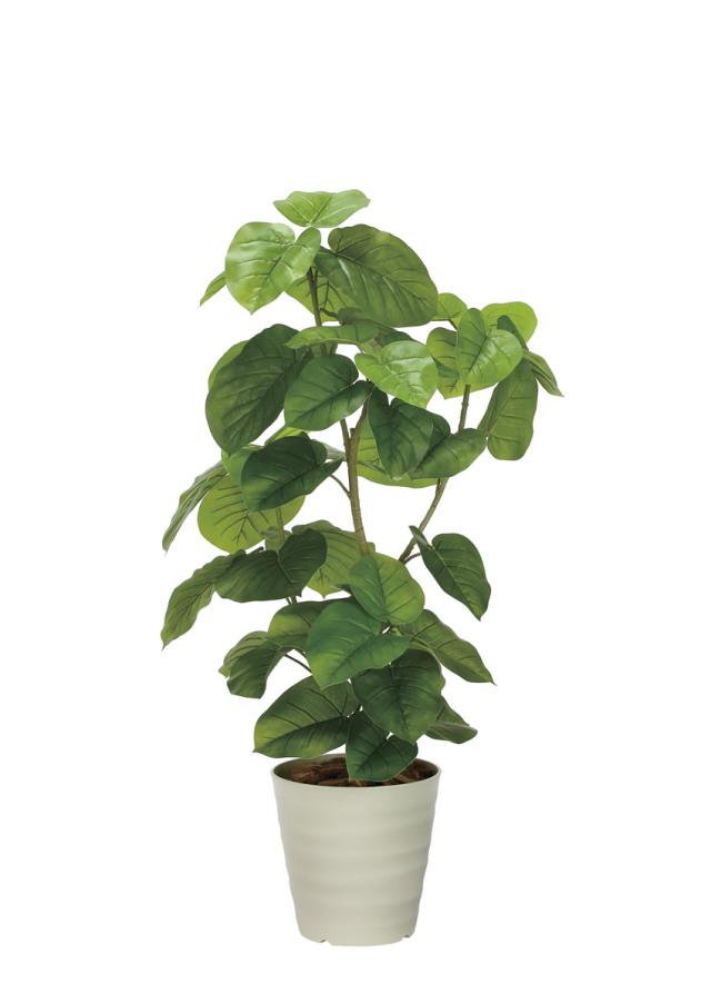 光触媒 人工観葉植物 ウンベラータ【光の楽園】