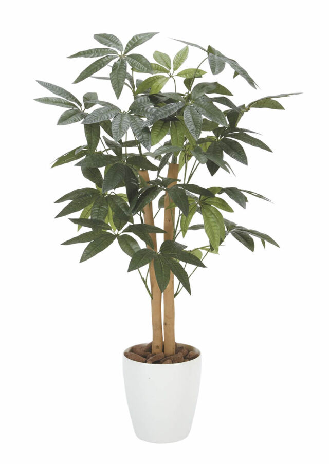 光触媒 光の楽園 ウッドボックストネリコミックス1.8【インテリア