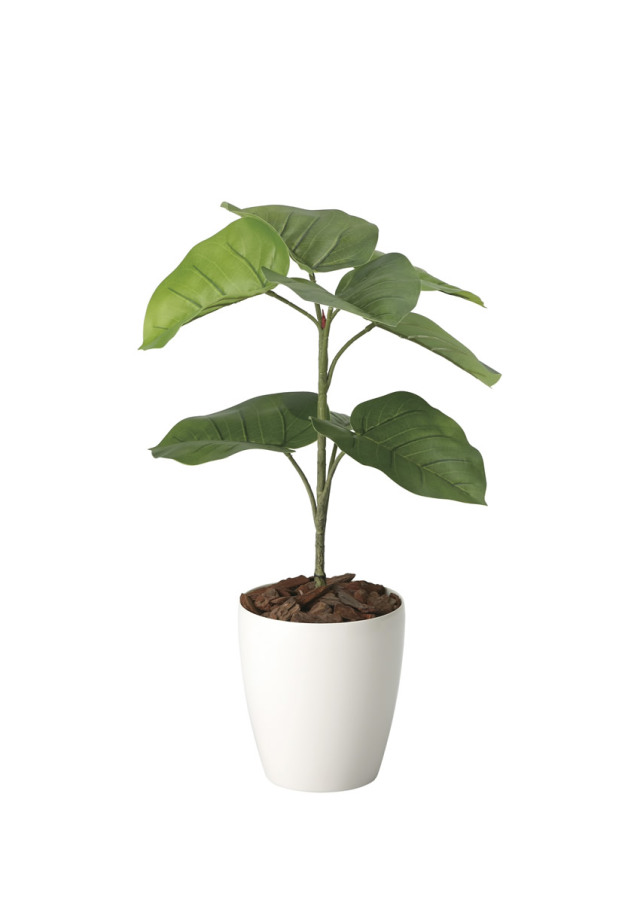 光触媒 人工観葉植物 ウンベラータ【光の楽園】