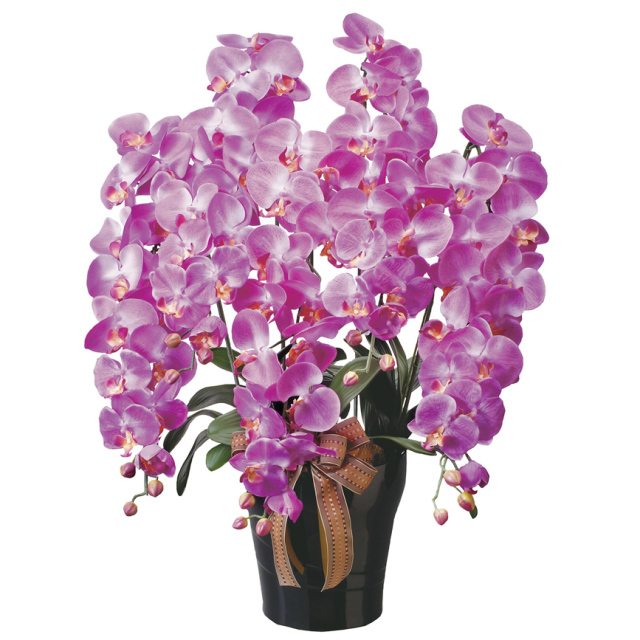 光触媒 光の楽園プレミアム胡蝶蘭7本立W【アートフラワー 造花