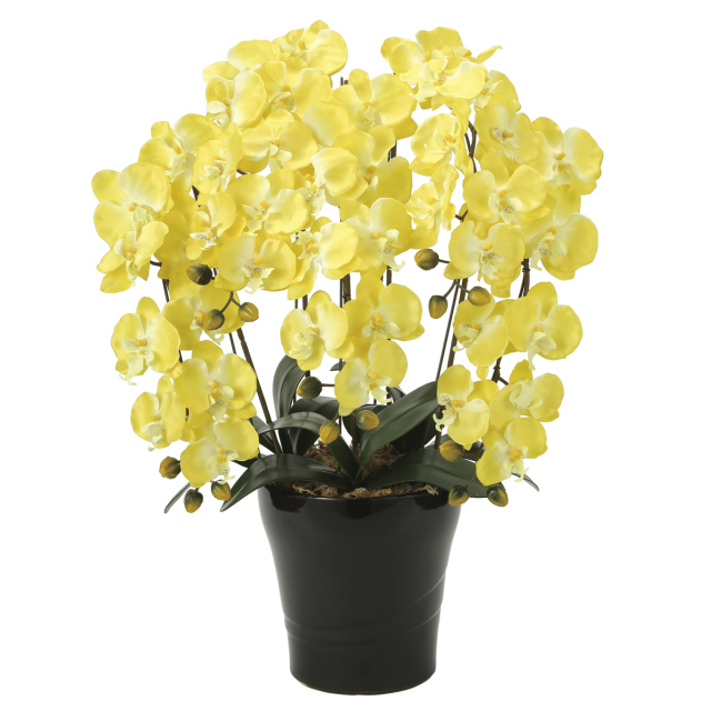 光触媒 光の楽園 プレミアム胡蝶蘭5本立W【アートフラワー 造花