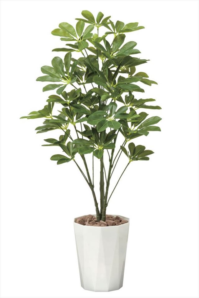 光触媒 光の楽園 ウッドボックストネリコミックス1.8【インテリア