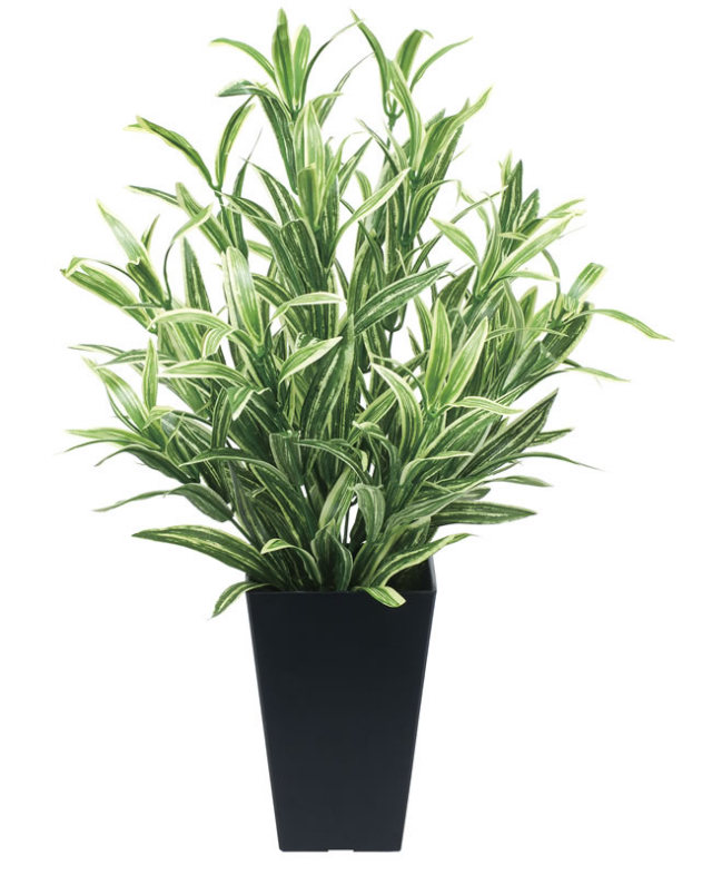 光触媒 光の楽園ツートンスパイダー【インテリアグリーン 人工観葉植物