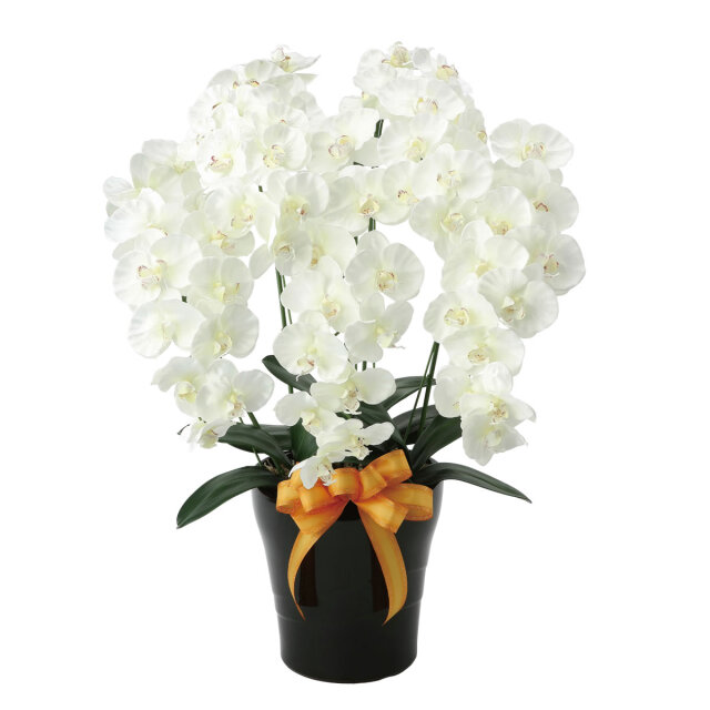 60cm以上 造花と観葉植物の専門店 光の楽園