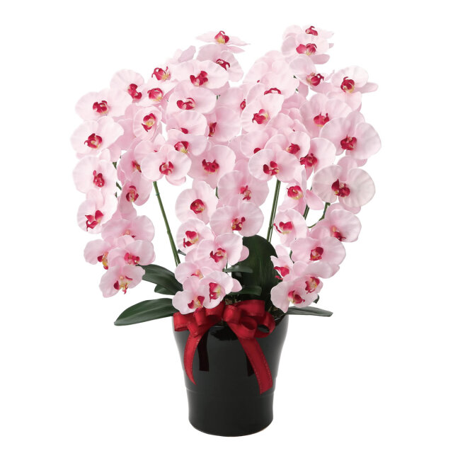 60cm以上 造花と観葉植物の専門店 光の楽園