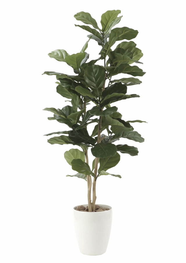 光触媒 光の楽園 モンステラ&アンスリューム 95【インテリア フェイク