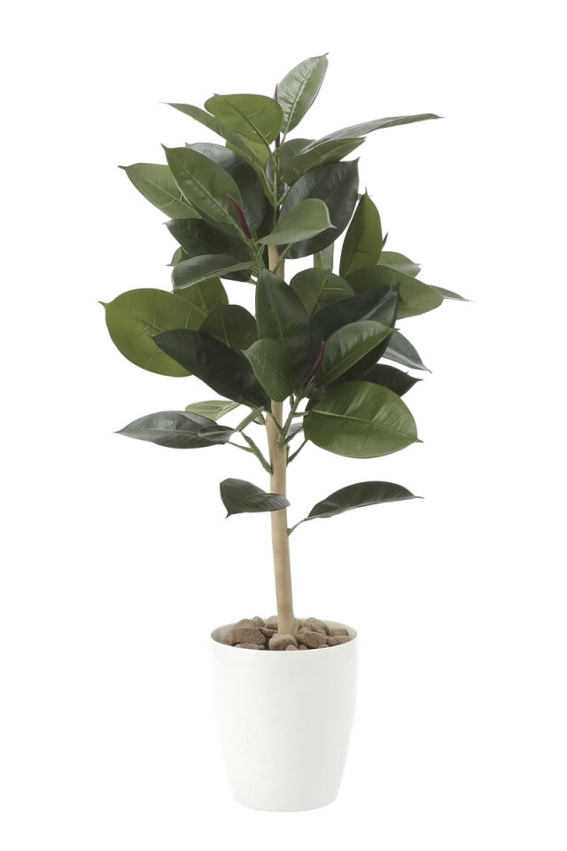 光触媒 光の楽園 ウッドボックストネリコミックス1.8【インテリア