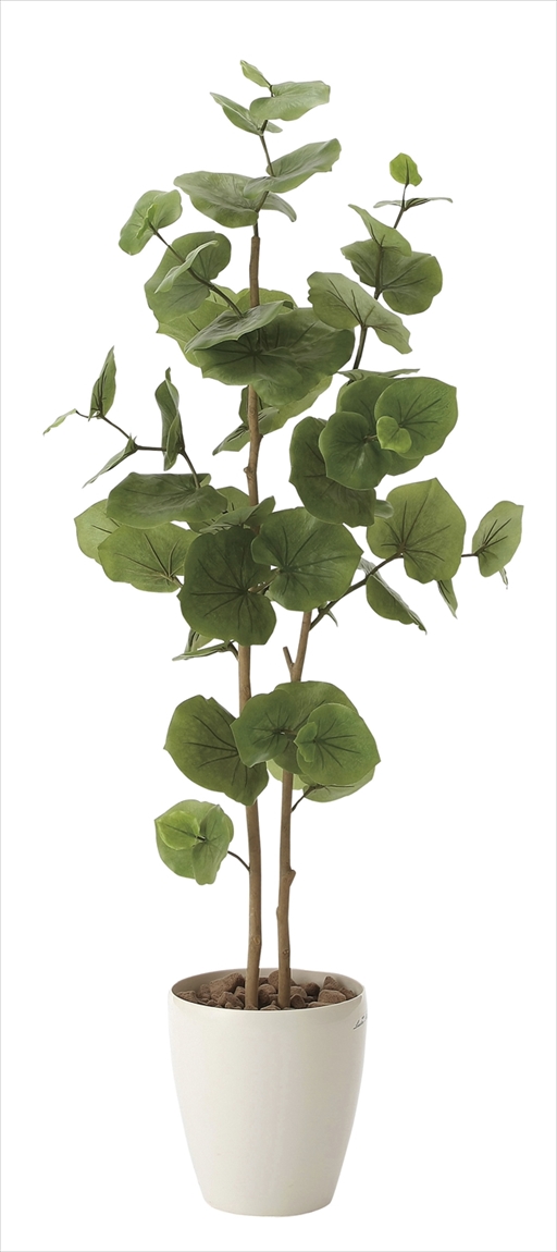 光触媒 光の楽園 ツイストウンベラータ1.6【インテリア フェイク