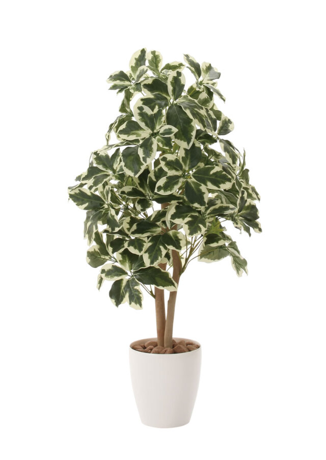 光触媒 光の楽園 幸福ノ木S【インテリア フェイクグリーン 人工観葉