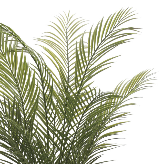 光触媒 光の楽園 アーバンアレカパーム1.7m(ポリ製)【インテリア