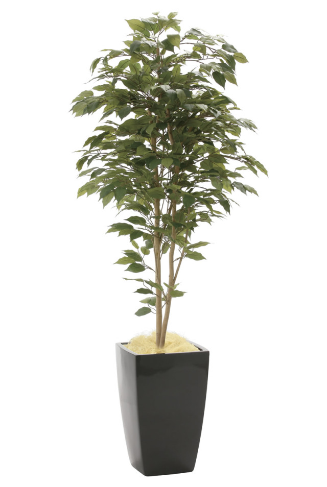 光触媒 光の楽園 トネリコ 1.8m【インテリア フェイクグリーン 人工